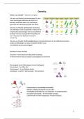 Samenvatting Genetica