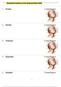 TEST BANK FOR ILLUSTRATED ANATOMY OF THE HEAD AND NECK&comma; 6TH EDITION&comma; FEHRENBACH & HERRING TEST BANK Fehrenbach&colon; Illustrated Anatomy of the Head and Neck&comma; 6th Edition