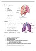 Respiratory system
