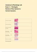 Anatomy & Physiology Lab Exam 1 -&sol; Strategies Review of Key Quizzes & Correct Answers&period;