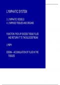 LYMPHATIC SYSTEM 