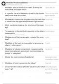 HESI A&P Practice Questions