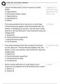 NUR 254 Unit 3 Burn Review