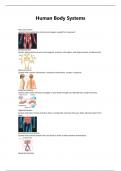 HumanBody Systems