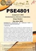 PSE4801 Assignment 3 &lpar;COMPLETE GUIDELINE&rpar; 2025 