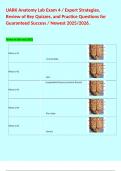 UARK Anatomy Lab Exam 4 &sol; Expert Strategies&comma; Review of Key Quizzes&comma; and Practice Questions for Guaranteed Success &sol; Newest 2025&sol;2026&period;  Terms in this set &lpar;381&rpar; What is &num;1&Tab;&Tab;Frontal lobe&Tab;  What is &num;2&Tab;&Tab;Gyri&Tab;  What is &num;3&Tab;Longitudinal fissure &lpar;cerebral fissure&rpar;