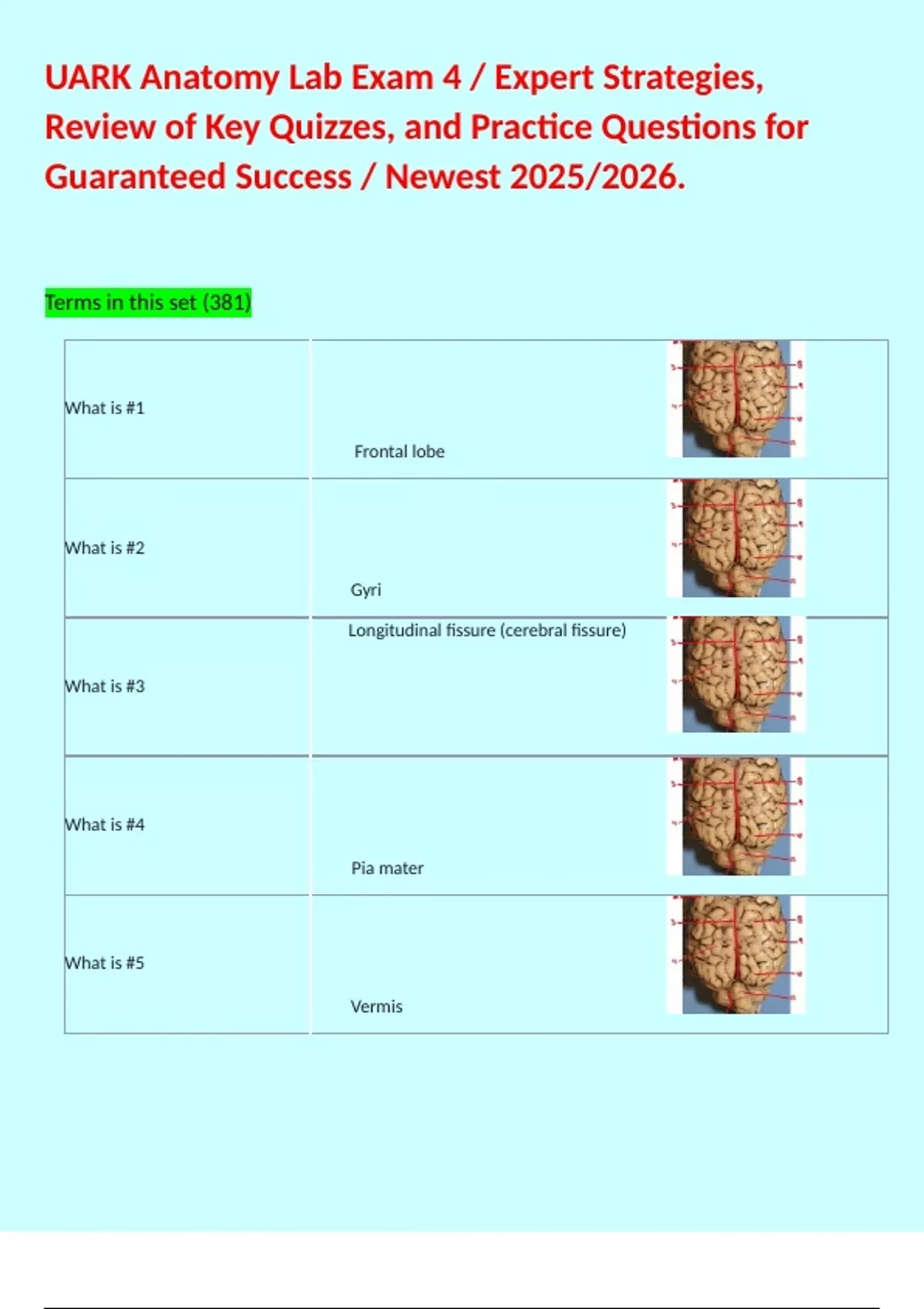 UARK Anatomy Lab Exam 4 / Expert Strategies, Review of Key Quizzes, and ...