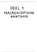 ALLE tekeningen &lpar;&plus; uitleg&rpar; van Neuroanatomie &lpar;Prof van Loon&rpar;