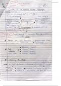 History&comma;   political science 