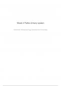 NR 507 - EDAPT - Week 4 Urinary System Pathologies&period;