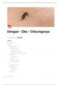 Dengue - Zika - Chikungunya&colon; Gu&iacute;a de diagn&oacute;stico y tratamiento