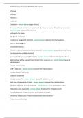 NURS 211 Burns Worksheet questions and answers