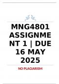 MNG4801 Assignment 1 Memo &vert; Due 16 May 2025