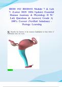 BIOD 152&sol; BIOD152 Module 7 & Lab 7&colon; &lpar;Latest 2025&sol; 2026 Update&rpar; Essential Human Anatomy & Physiology II W&sol; Lab&vert; Questions & Answers&vert; Grade A&vert; 100&percnt; Correct &lpar;Verified Solutions&rpar; - Portage Learning