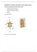 Samenvatting - Anatomie 1&colon;Bovenste kwadrant