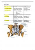 Overzicht ligamenten-Anatomie&colon; Onderste kwadrant