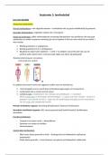 Samenvatting - Anatomie 3&colon; lymfestelsel