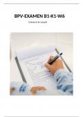 BPV-examen B1-K1-W6&comma; evalueert de aanpak