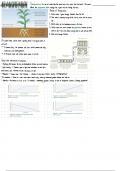 OCR Gateway GCSE Transpiration Summary 