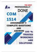 COM1514 Assignment 3 PORTFOLIO &lpar;COMPLETE ANSWERS&rpar; Semester 1 2025 - DUE May 2025