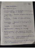 12 class zoology chapter 1 &lpar; human reproduction&rpar;