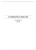 Samenvatting E-financiële analyse