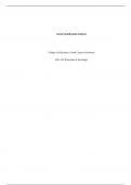 Social Stratification AnalysisCollege of Education&comma; Grand Canyon UniversitySOC-102 Princip