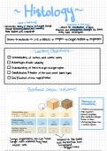 BHsc APES1001A Histology notes