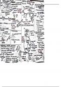 Respiration in plants 