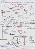 Organic synthesis mindmap&comma; with reagents and conditions and mechanisms 
