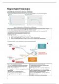 Figurenlijst fysiologie examen met uitleg