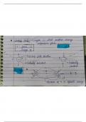 Electric field