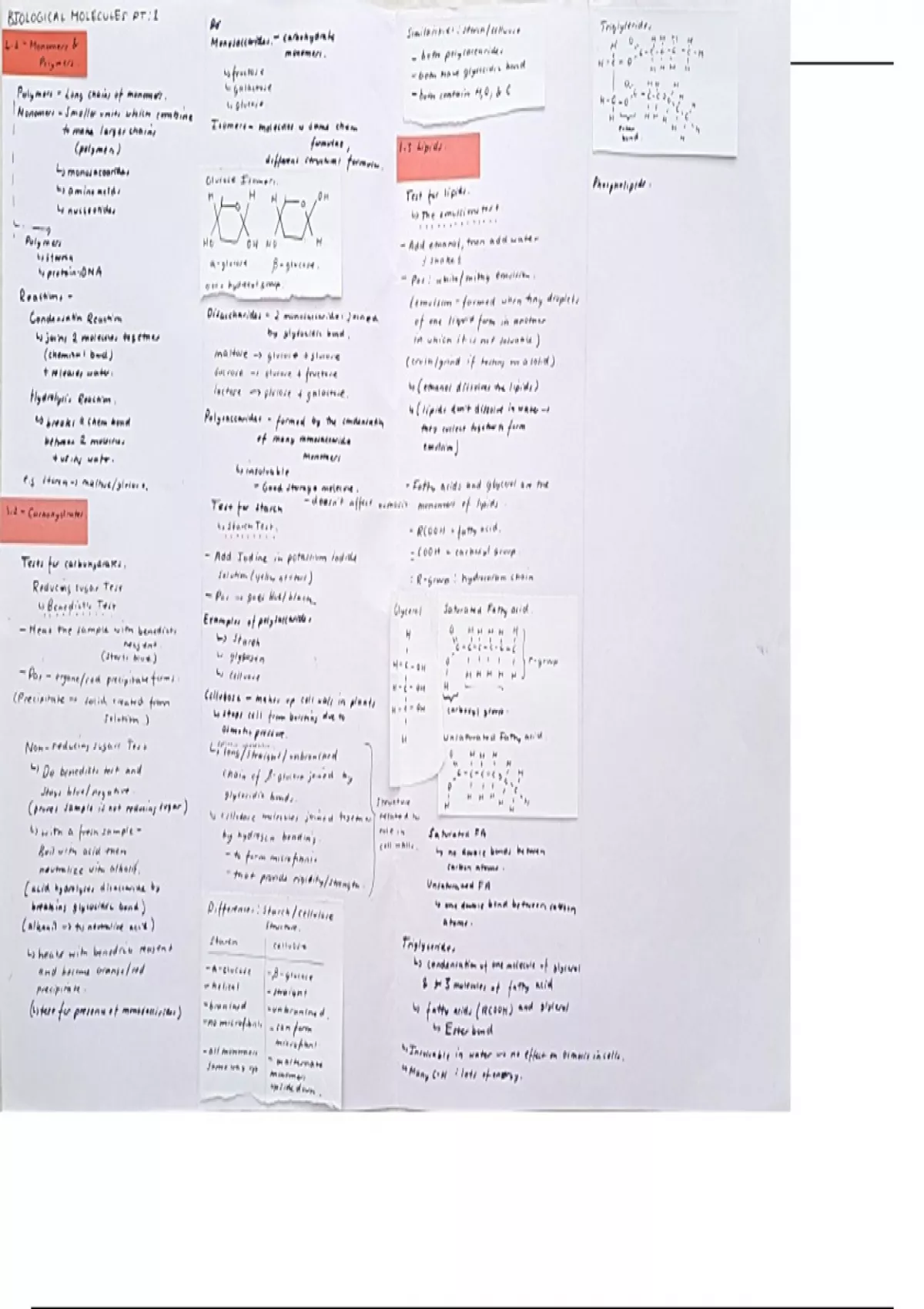 Summary - Unit 1 - AQA Biological molecules - Unit 1 - Biological ...