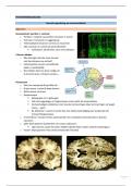 Samenvatting lessen&sol;slides psychofarmacologie