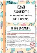 IEG2601 Assignment 2 Memo &vert; Due 17 June 2025