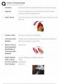 Cardiac arrhythmias pathophysiology quiz questions