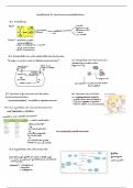 Samenvatting h8&colon; Aminozuurmetabolisme -  Biochemie