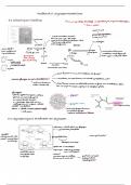 Samenvatting h5&colon; Glycogeenmetabolisme - Biochemie