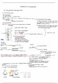 Samenvatting h2&colon; De glycolyse - Biochemie