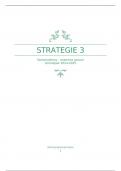 Samenvatting strategie 3