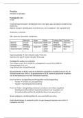Aantekeningen practica Hersenen & Zintuigen 