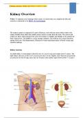 Portage Learning BIOD 152 Kidney module 5 exam test bank&period;