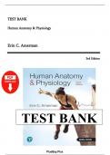Test Bank for Human Anatomy & Physiology 3rd Edition By Amerman&period;&lpar; CH 1-28&rpar;