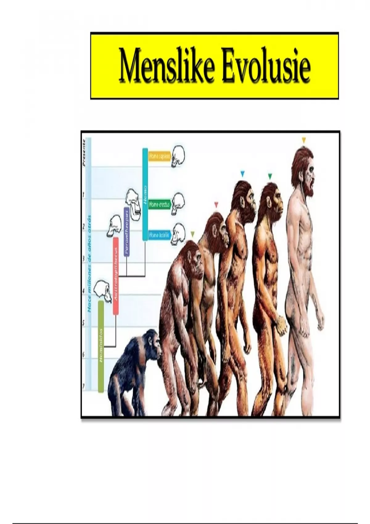gr12-lewenswetenskappe-menslike-evolusie-lewenswetenskappe-stuvia-sa