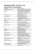 Begrijppenlijst Werken Met Gezinnen En Jongeren 1