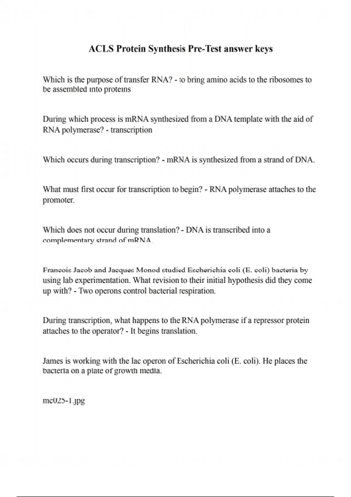 ACLS Protein Synthesis Pre-Test answer keys - BSC 114 - Stuvia US