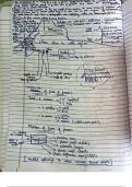 MBBS First Year Complete Anatomy Notes &vert; Diagrams &plus; Theory