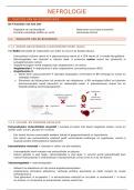 VMV 7&colon; Nefrologie