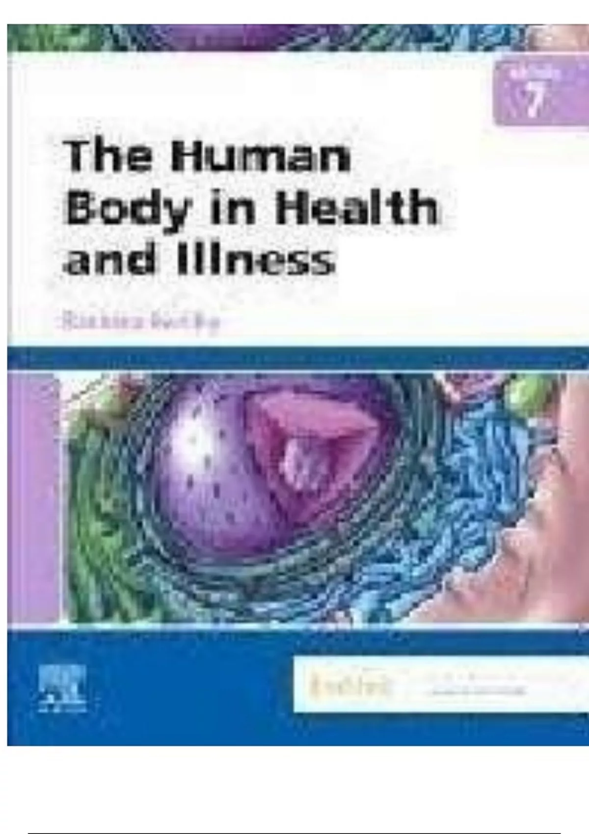 Test Bank for The Human Body in Health and Illness 7th Edition by ...
