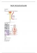 NGN NCLEX EXAM QUESTIONS AND ANSWERS 2025